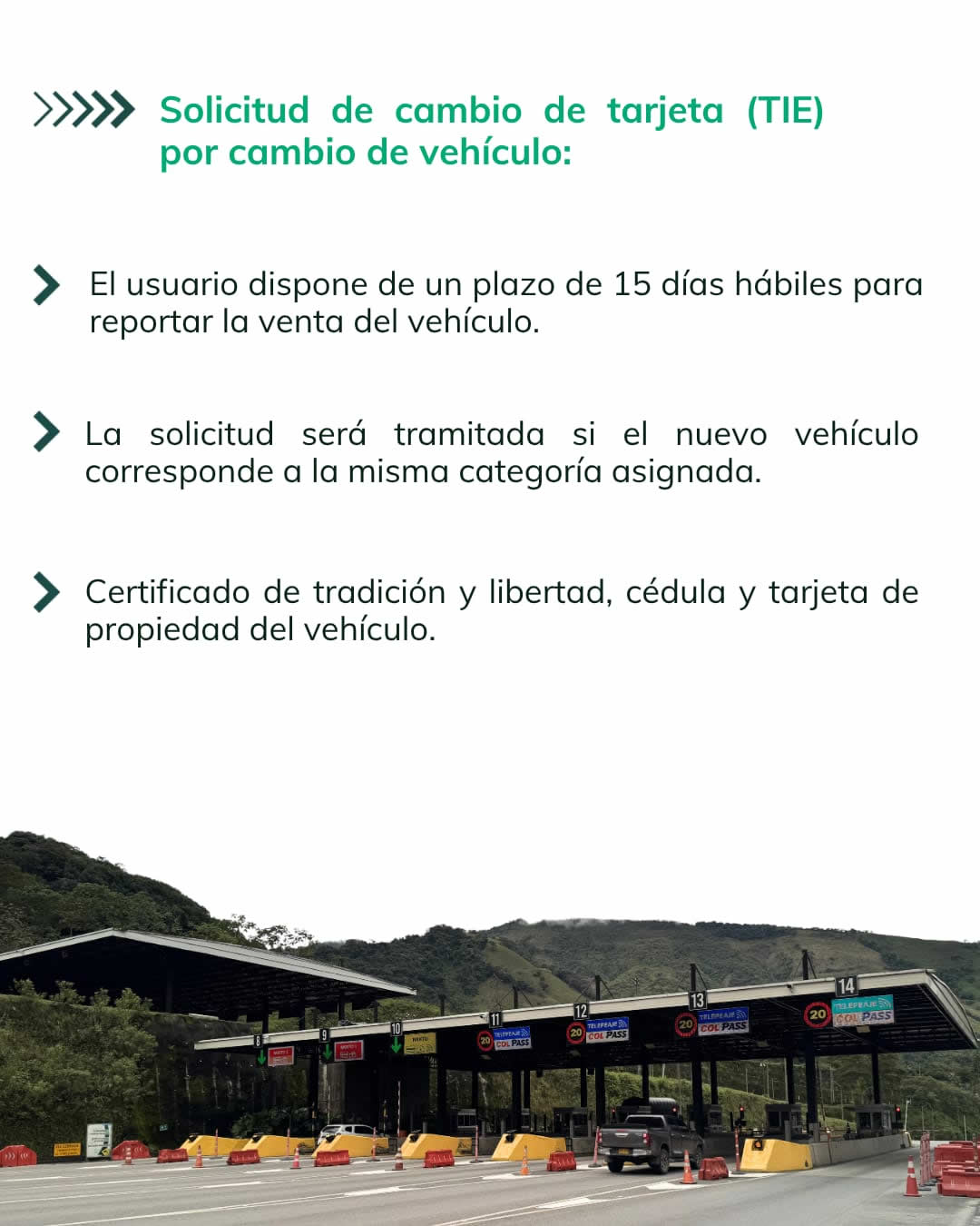 Solicitud de cambio de tarjeta TIE por cambio de vehículo: plazo de 15 días hábiles, certificado de tradición y libertad